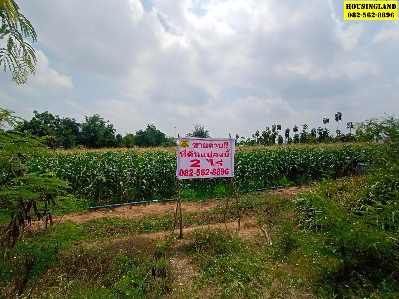ขายที่ดินอู่ทอง สุพรรณบุรี  ราคาถูก ตำบลพลับพลาไชย อำเภออู่ทอง จังหวัดสุพรรณบุรี